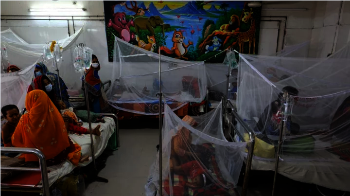 Bangladesh Recorded 575 Dengue Deaths In 2024