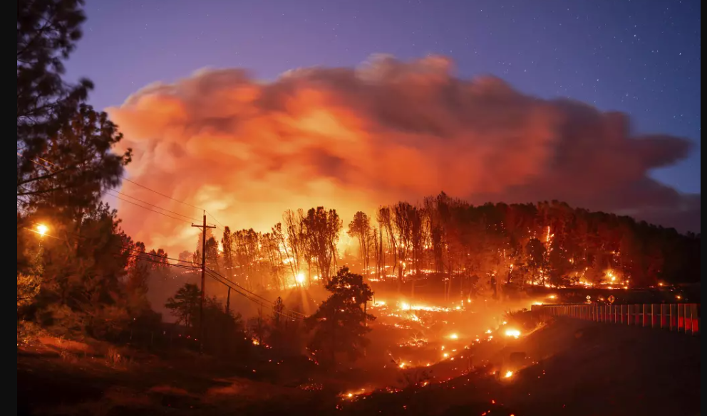 New Wildfire In Los Angeles Grows Over 500 Acres