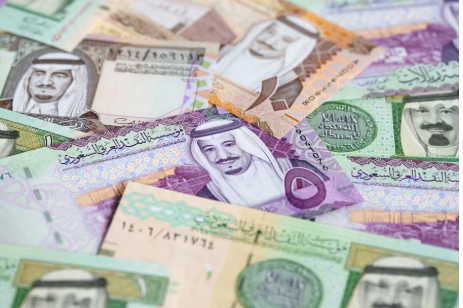 Saudi Arabia Approves 2025 Borrowing Plan