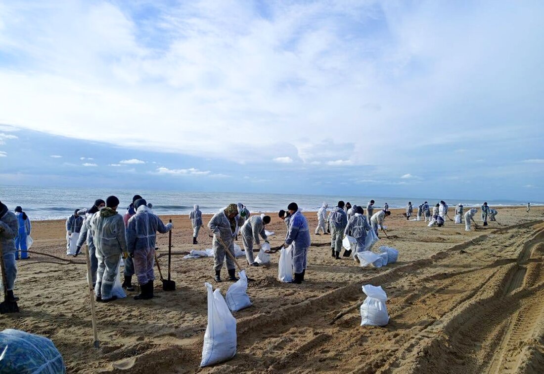 32 dolphins have died since an oil spill near southern Russia, experts say