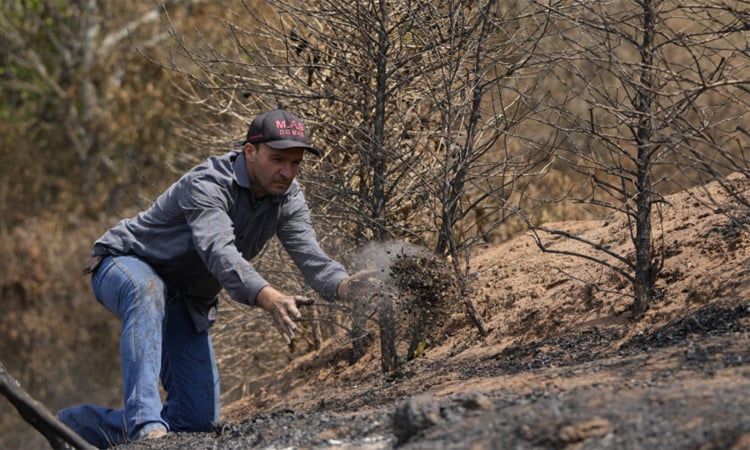 Climate change: Brazil drought lights a fire under global coffee prices