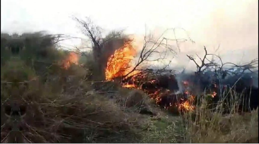 Kenya wildfires: Appeal for gov’t help as wildfire ravages Isiolo grazing fields