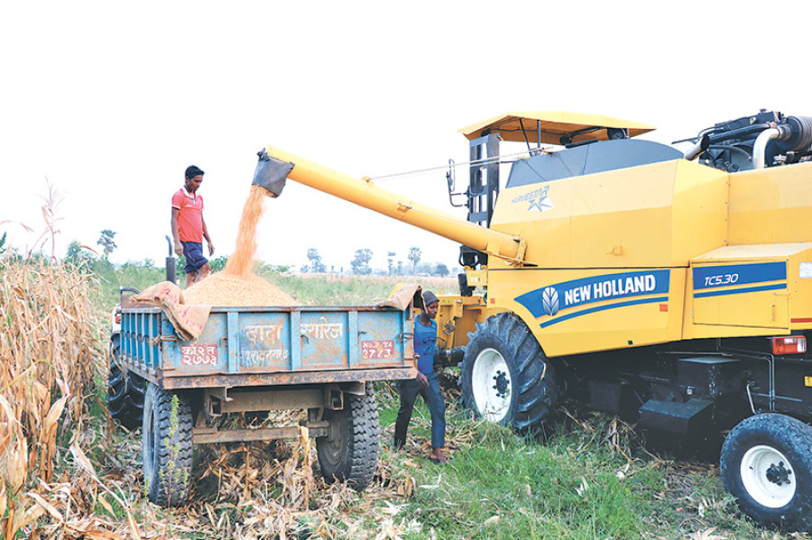 Bumper Padi Harvest Expected In Nepal