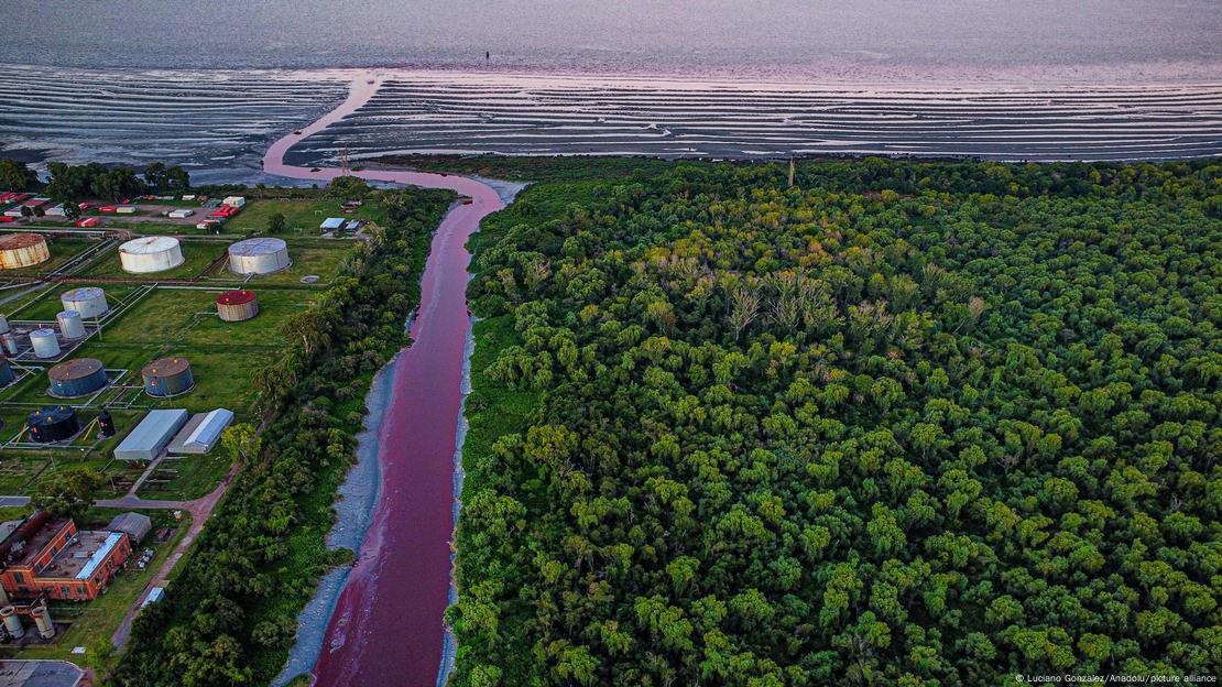 Argentina: Alarm as river runs blood-red