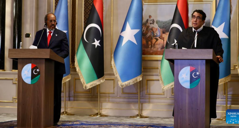 Libyan, Somali Leaders Discuss Cooperation On Investment, Education