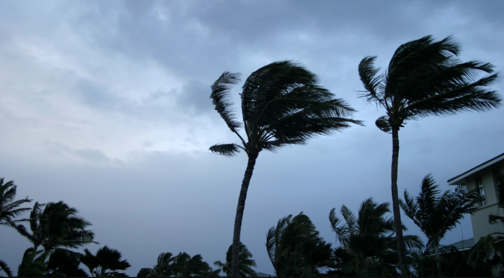 Tropical Cyclone Off Northwest Australia Expected To Make Landfall Within Days