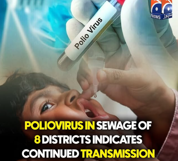 Wild Poliovirus Detected In Eight Districts Of Pakistan