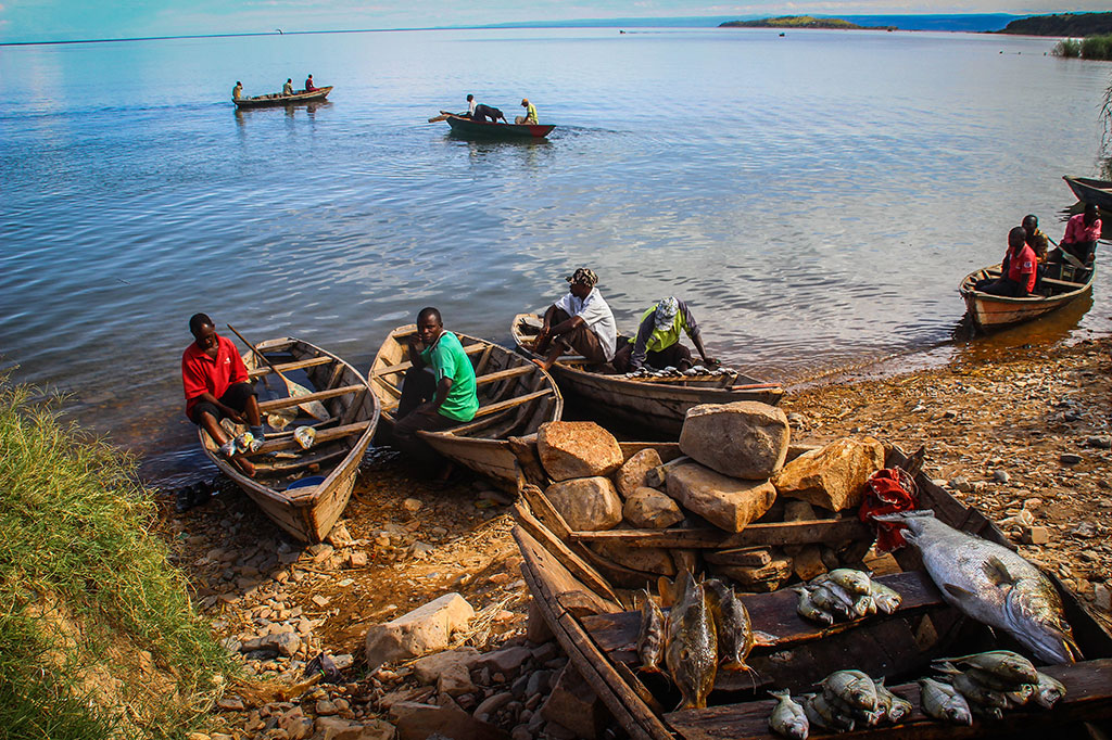 Tanzania: Fishing boom after ban lift in Tanganyika