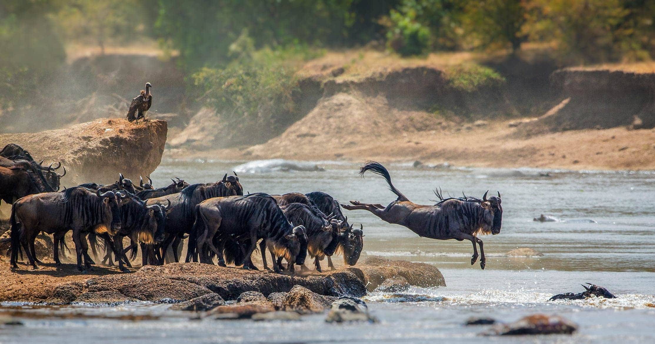 Tanzania surpasses 2025 tourism target: Tourism Minister