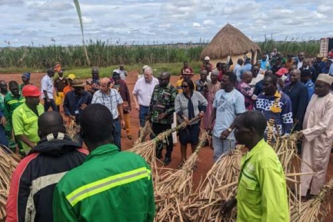 Cameroon sugarcane strike turns violent over wages