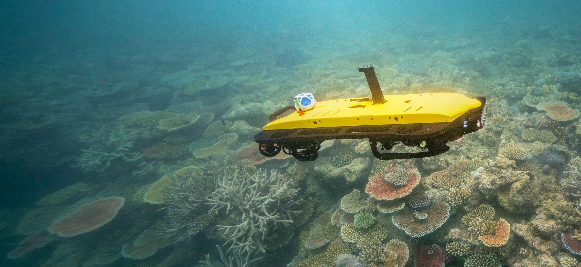 Australian Scientists Use AI To Save Great Barrier Reef