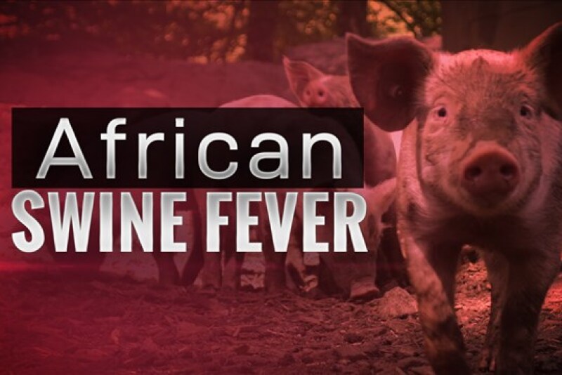 Laos Warns Of African Swine Fever Outbreak