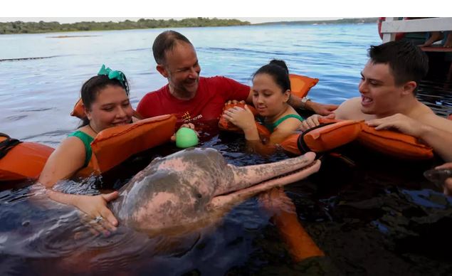 In Brazil’s Amazon, dolphin therapy aids people with disabilities