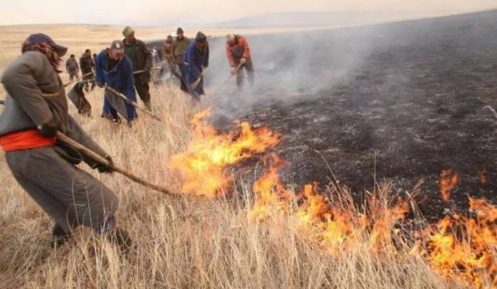 Over 71,000 Hectares Of Land Destroyed By Wildfires In Mongolia So Far This Year