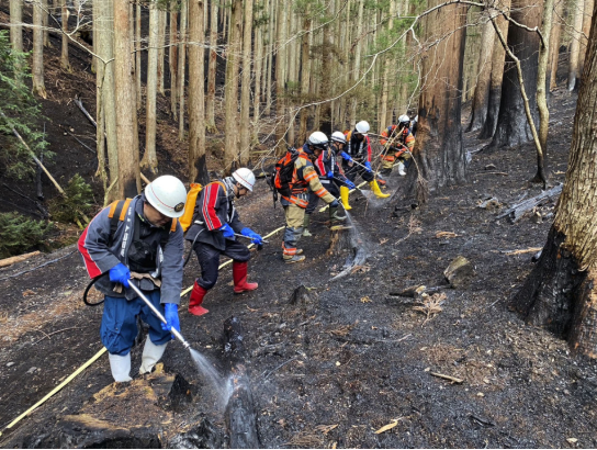 Massive Wildfire In NE Japan Contained: Mayor