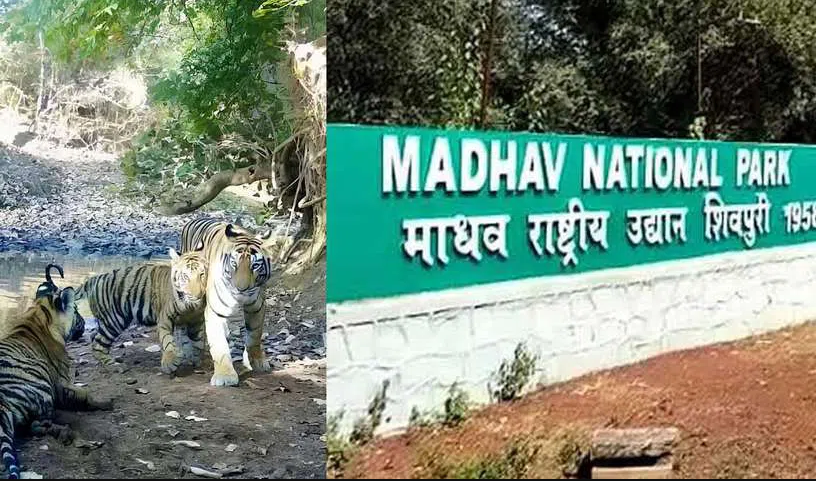 India Adds 58th Tiger Reserve