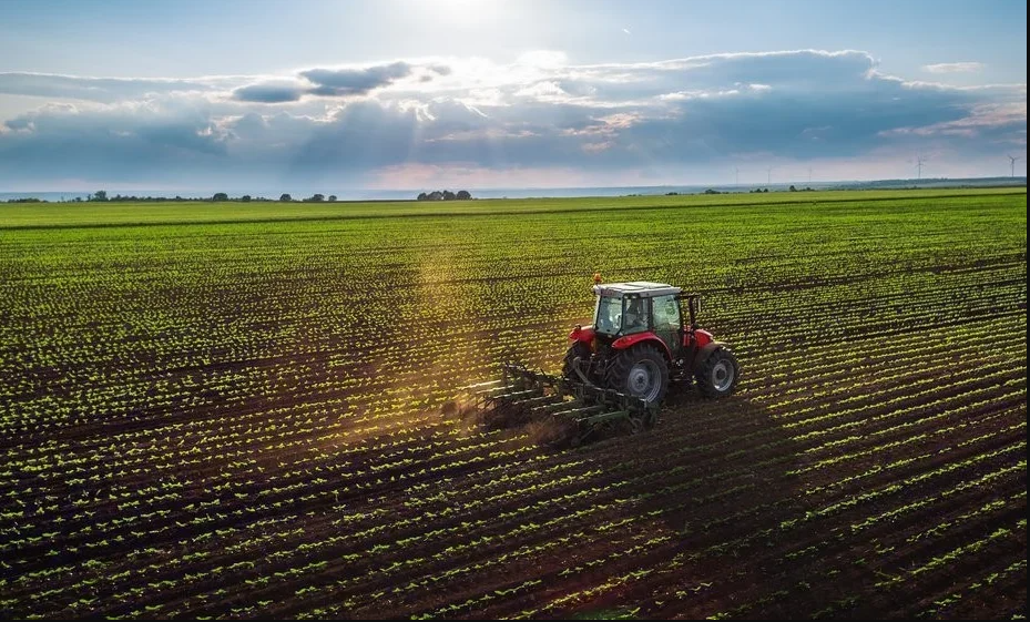 Total Sown Area In Kyrgyzstan Amounts To 1.25 Million Hectares