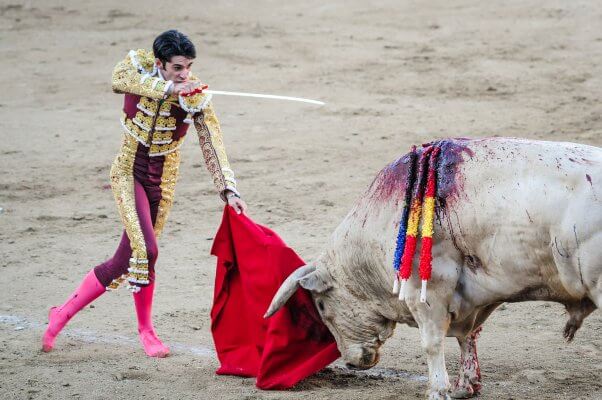 Mexico City introduces ‘bloodless bullfighting’ in win for animal rights activists