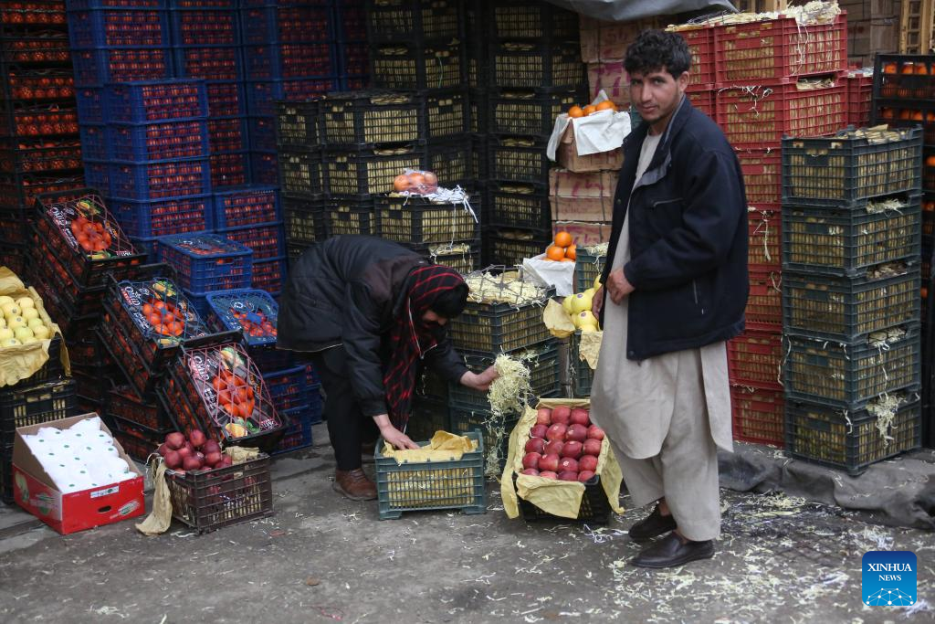 Afghanistan Exported Fresh Fruits Worth 143 Million USD In 11 Months