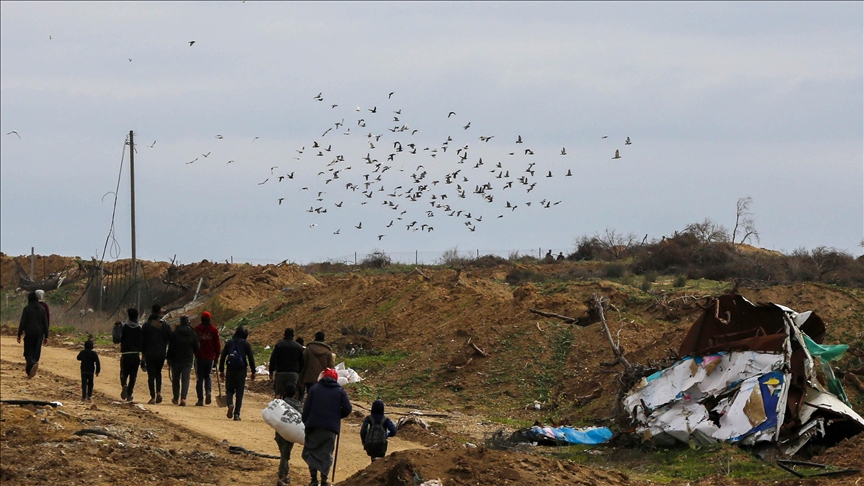 Egyptian, Tunisian Presidents Reject Displacement Of Palestinians